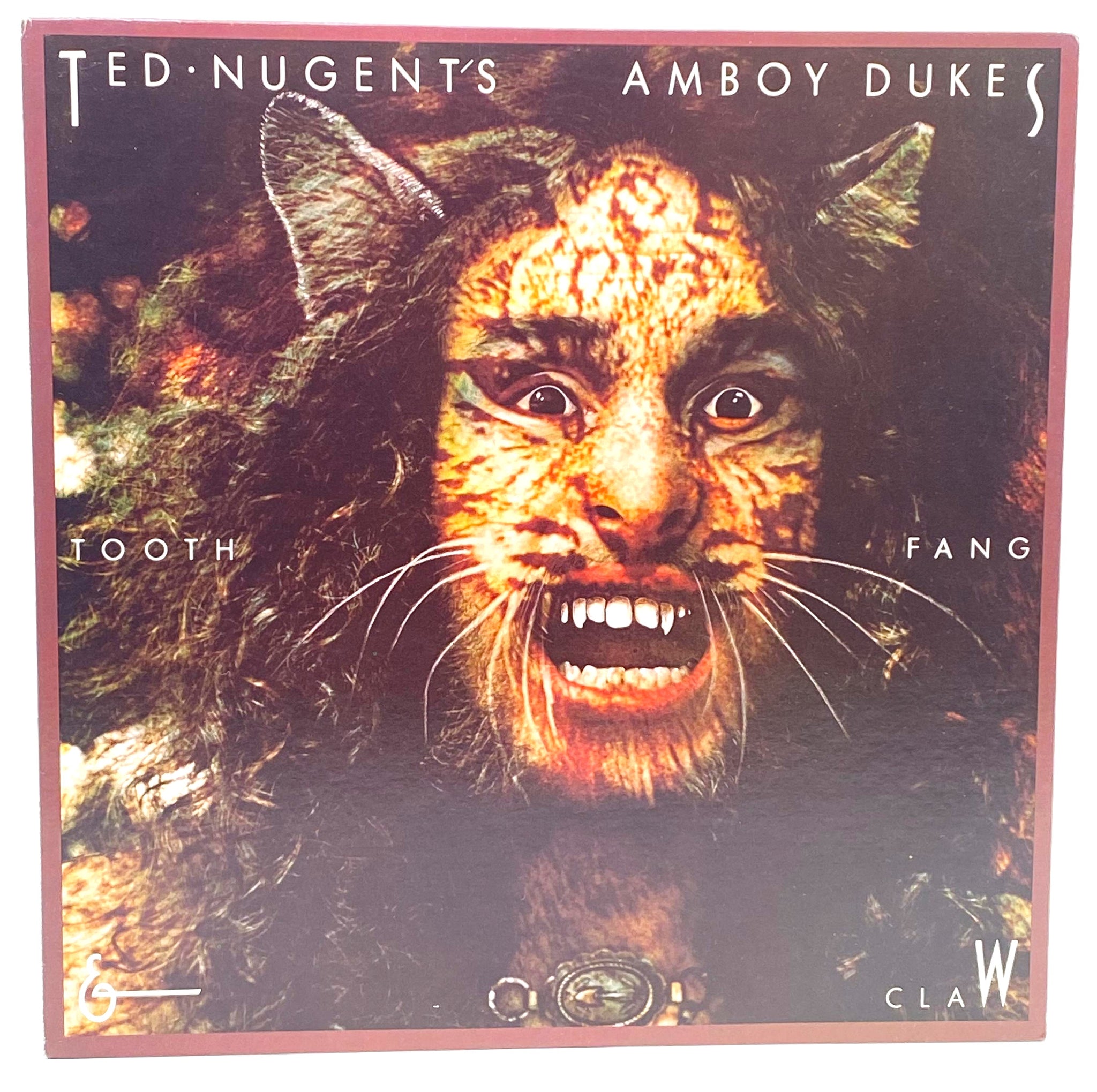 Ted Nugent's Amboy Dukes