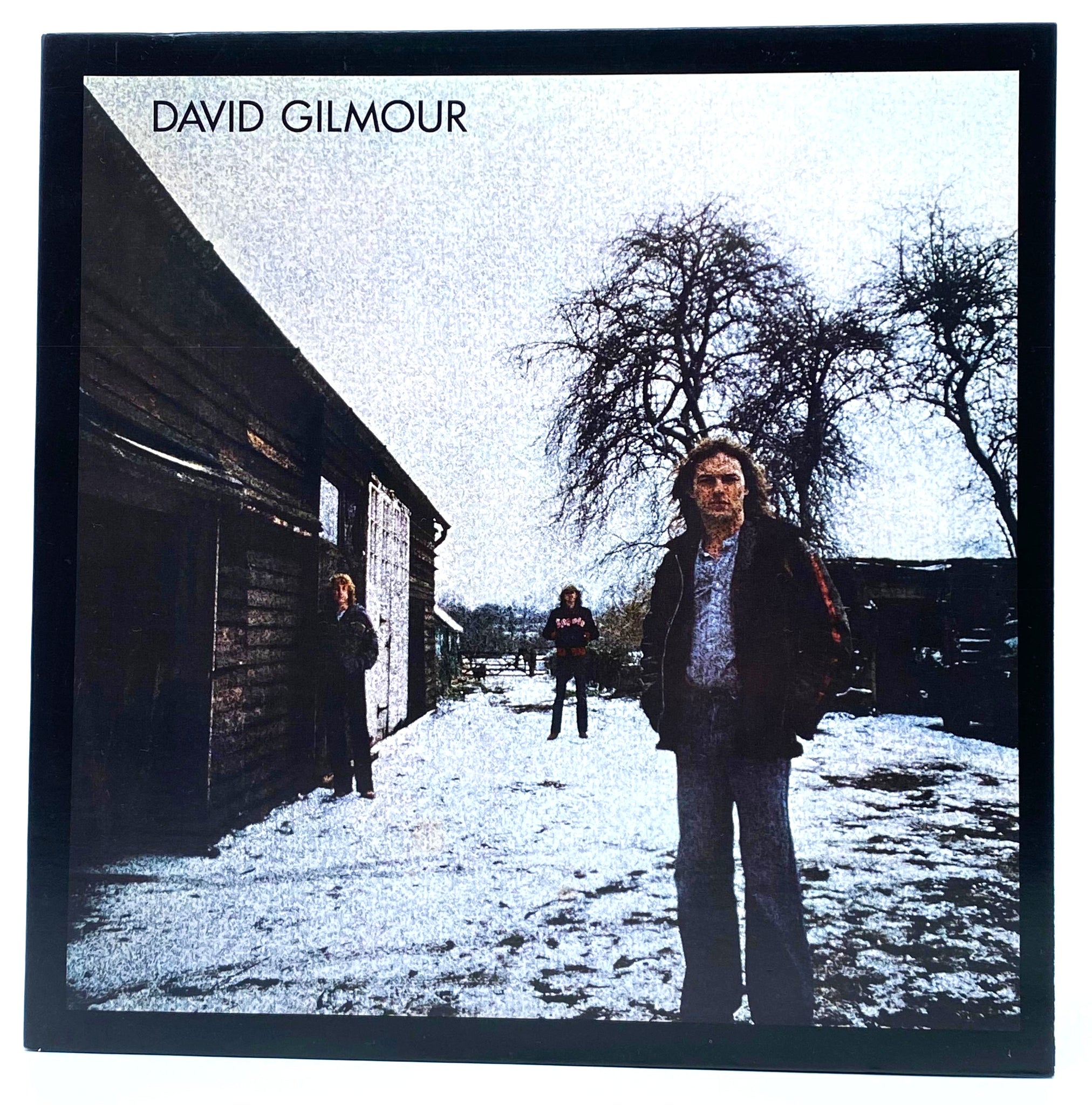 David Gilmour