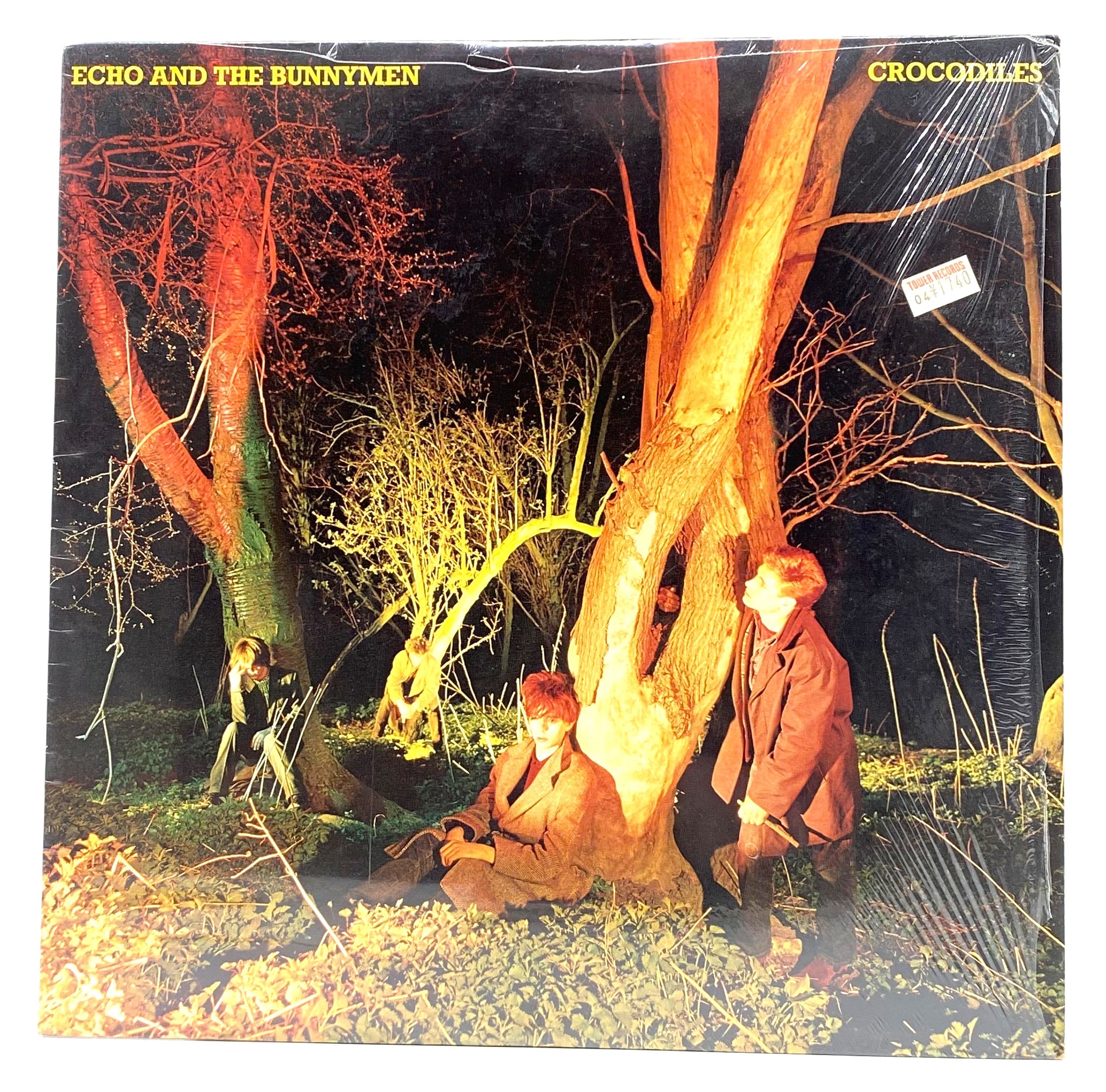 Echo and The Bunnymen