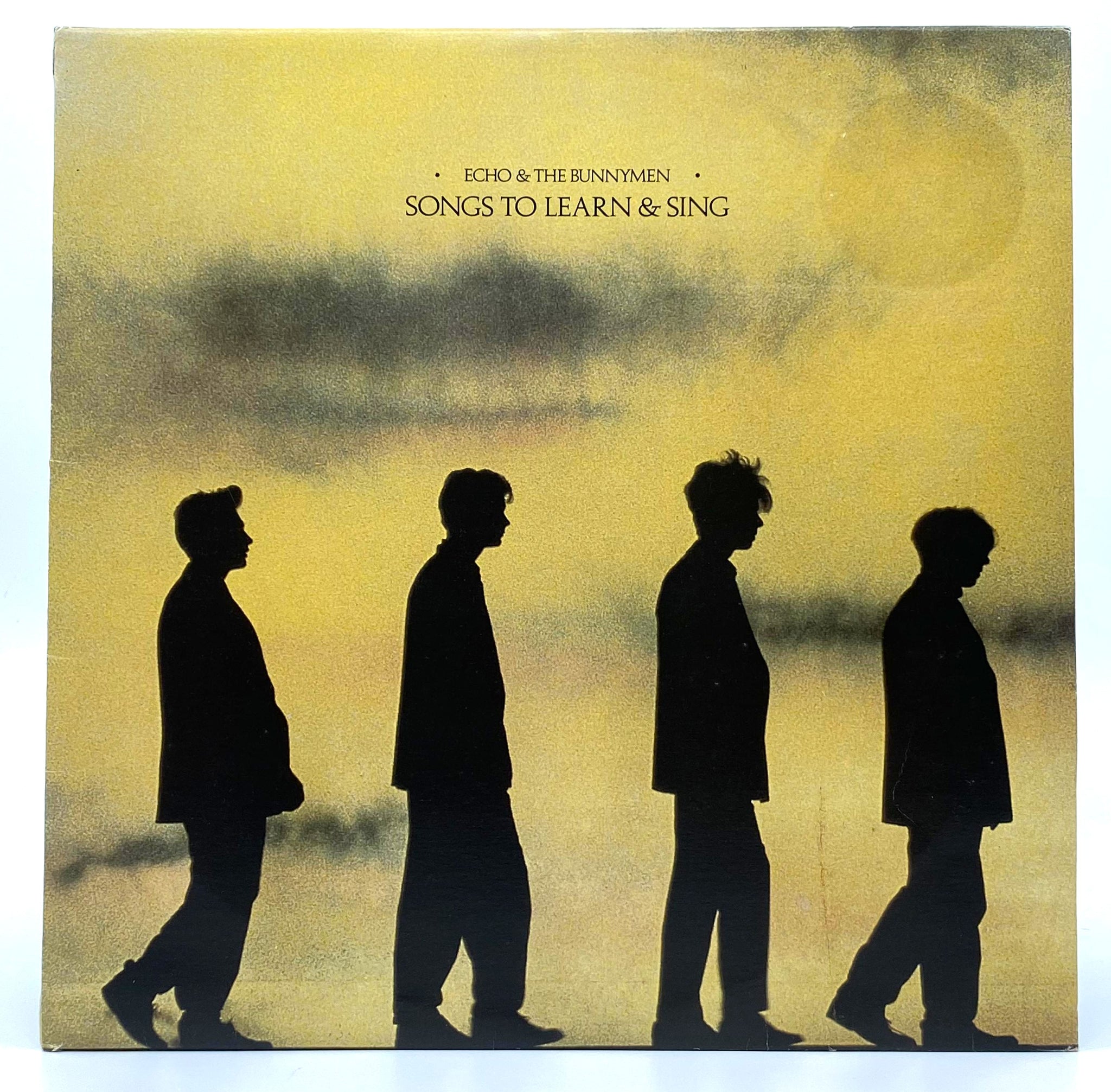 Echo and The Bunnymen