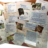 Media 6
