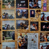 Media 3